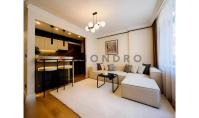 IS-5602, Renovated furnished Apartment with Open Kitchen and Balcony in Istanbul Sisli